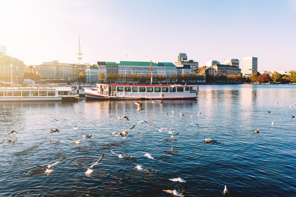 Möwen fliegen über die Außenalster in Hamburg, mit Passagierbooten und blauem Himmel im Hintergrund.