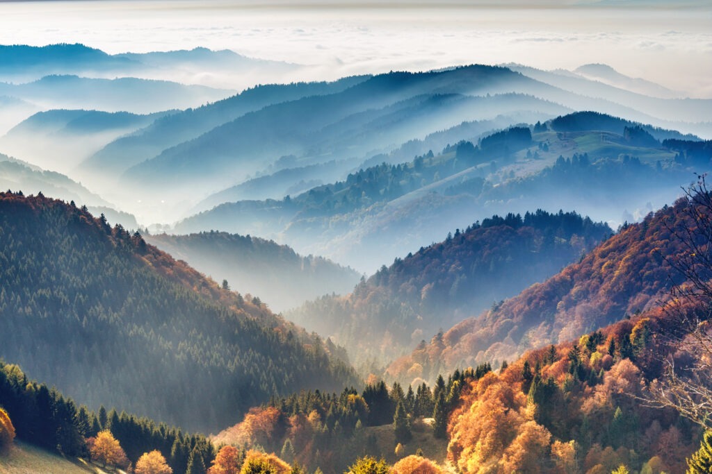 Mystische Berglandschaft im Schwarzwald, mit nebelverhangenen Wäldern und sanften Hügeln in der Morgendämmerung.